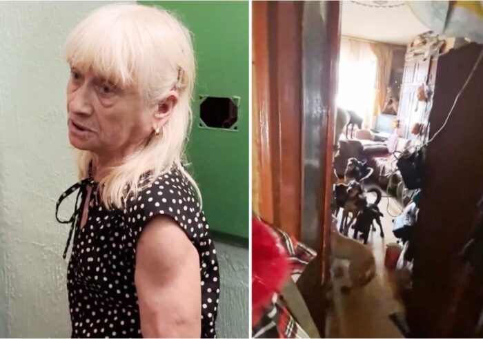 «Нехорошая квартира» на Нижней Дуброве во Владимире: ад продолжается