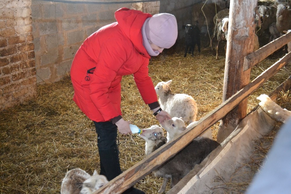    Более 365 млн рублей направят на поддержку агробизнеса в регионе