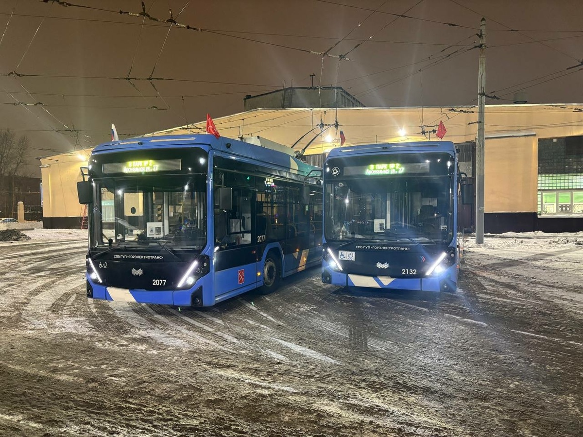 Фото: Комитет по транспорту Петербурга