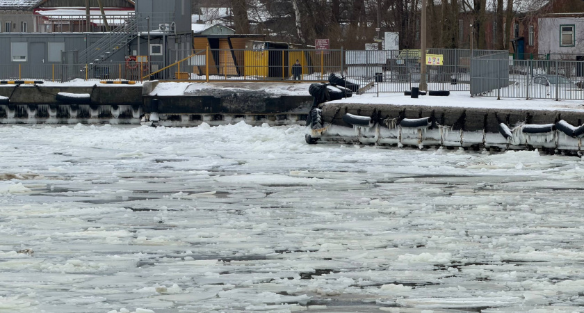    Телеграм-канал Алексея Беспрозванных