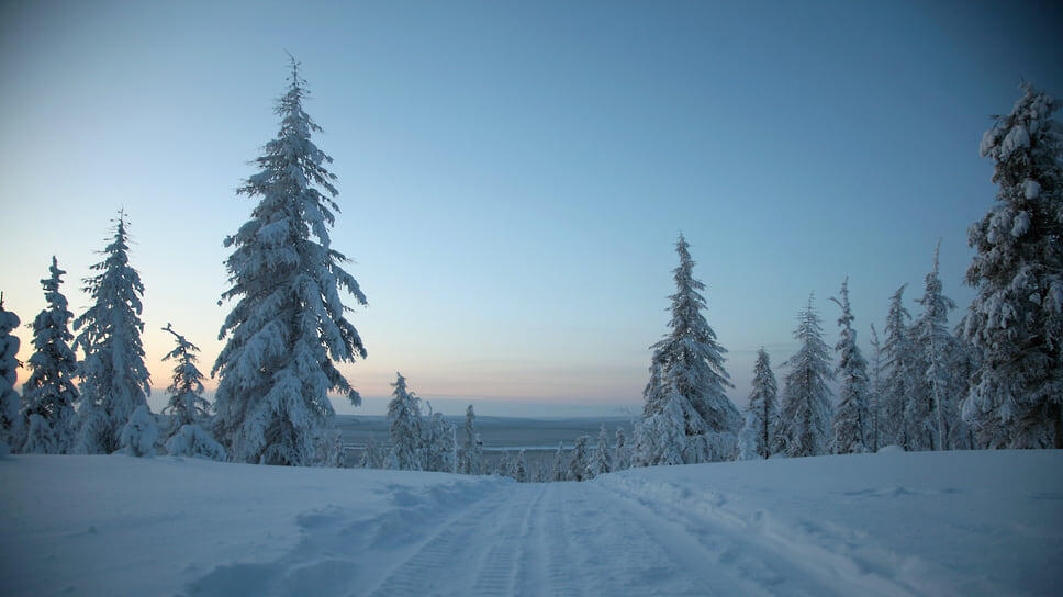 Фото: Дмитрий Салтыковский / Коммерсантъ