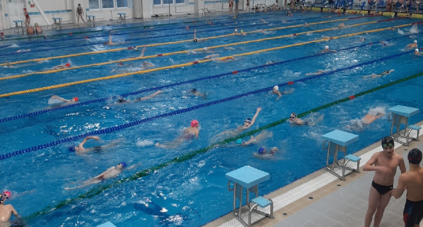    Фото prochepetsk.ru