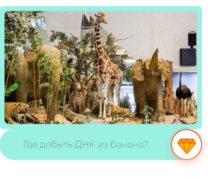 фото с сайта https://det.mos.ru/