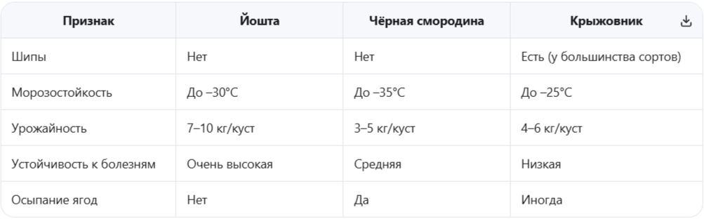 Йошта vs другие ягодники