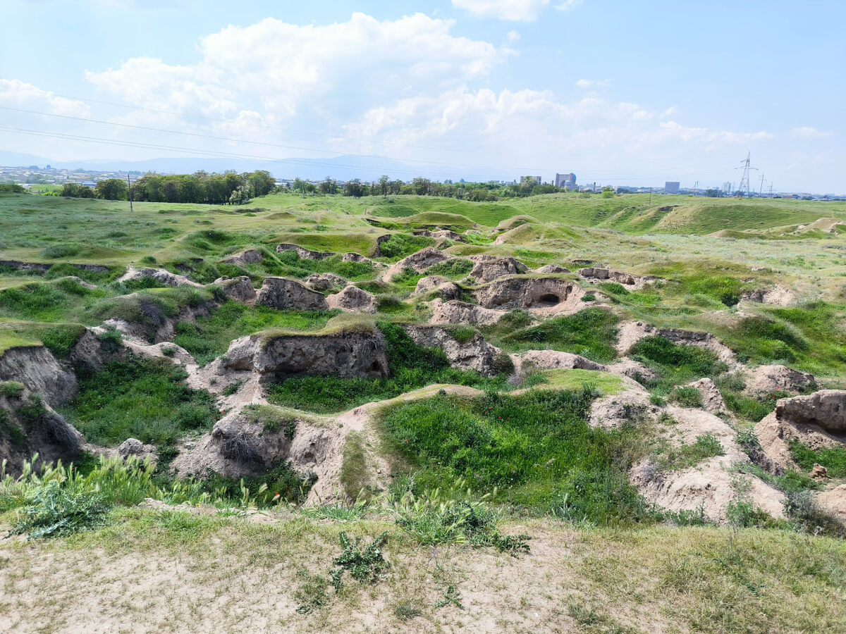    Афрасиаб, древнее городище площадью более 200 га.