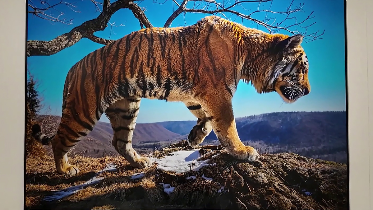    Первый канал