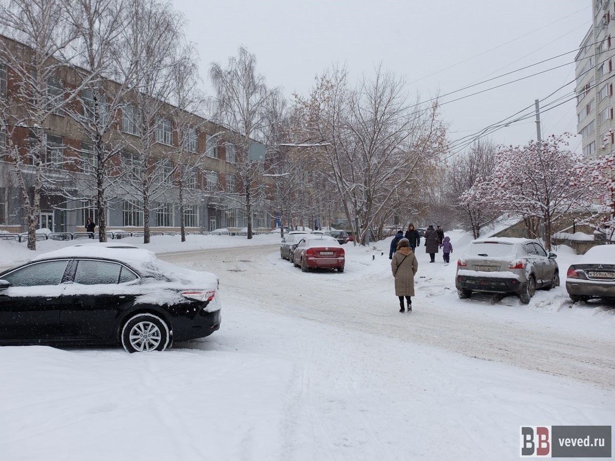     Фото: Владислав Постников / Вечерние ведомости