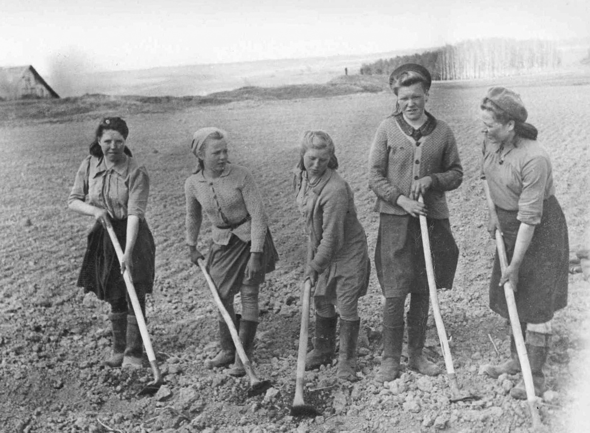 На полях подсобного хозяйства в Росляково. 1947 год-1