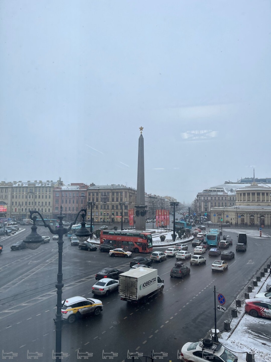    Фото: собака.ру