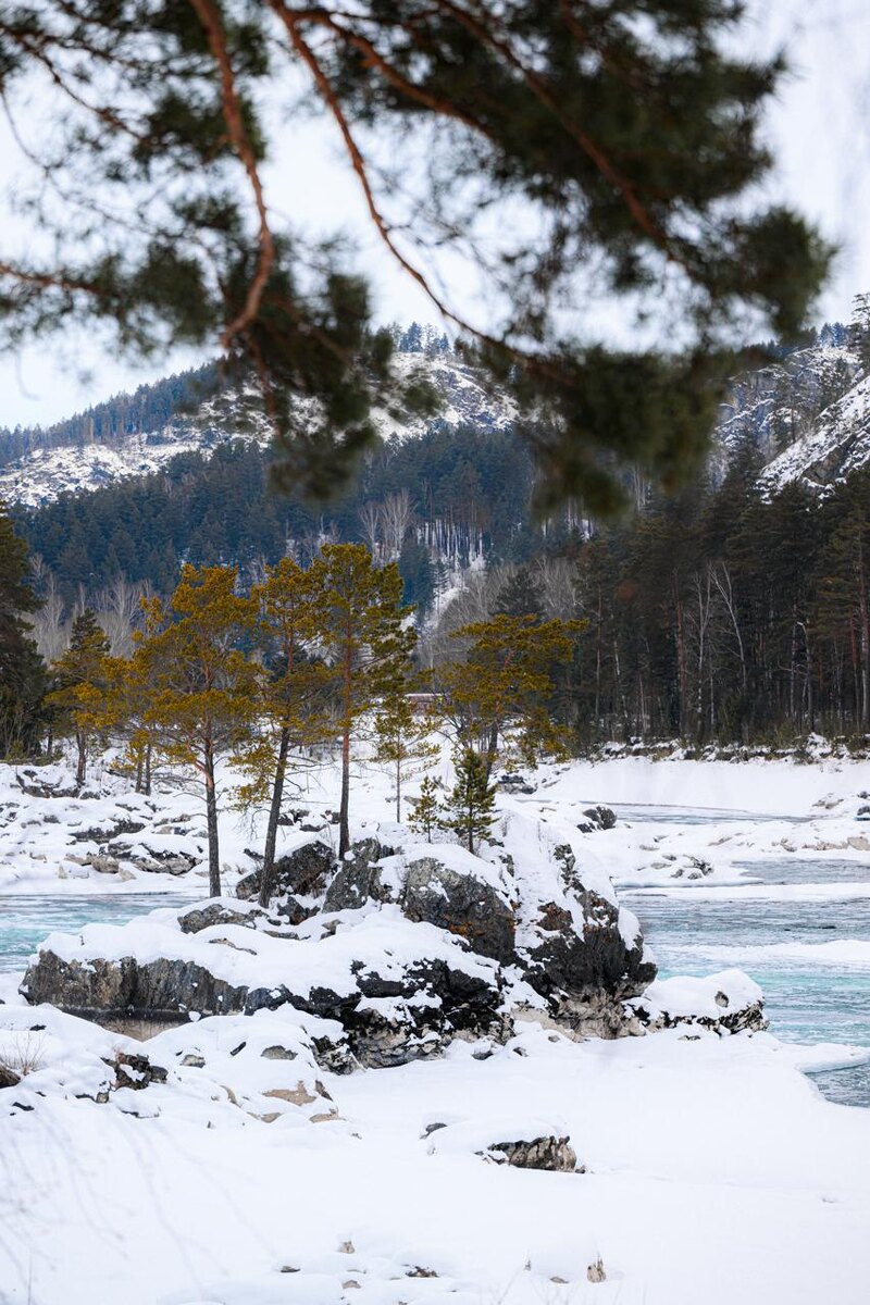 река Катунь