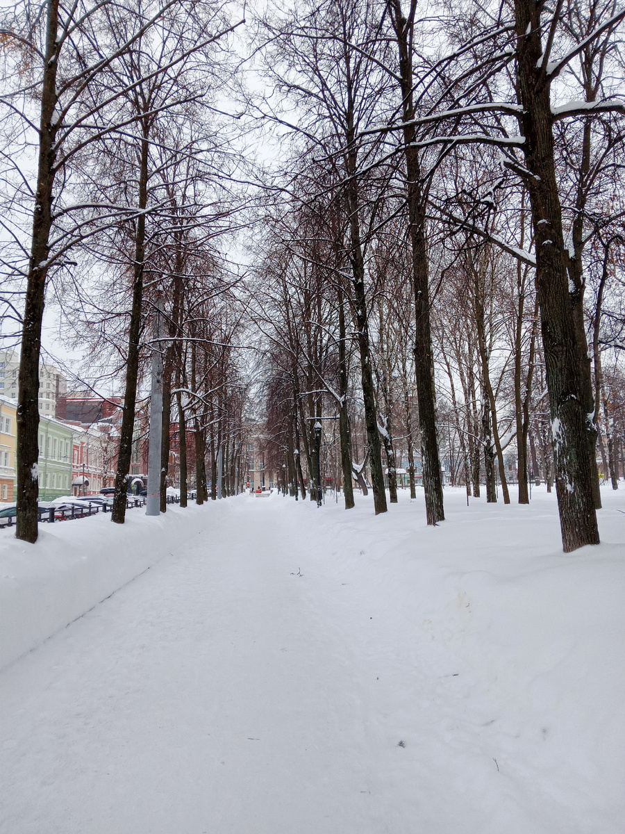 Аллея ведет в почтамту
