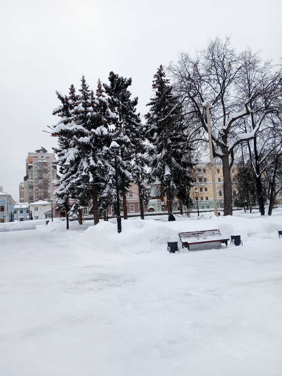 За елями задание знаменитиго в 60-80 годы гастронома, а ели в то время были маленькими елочками