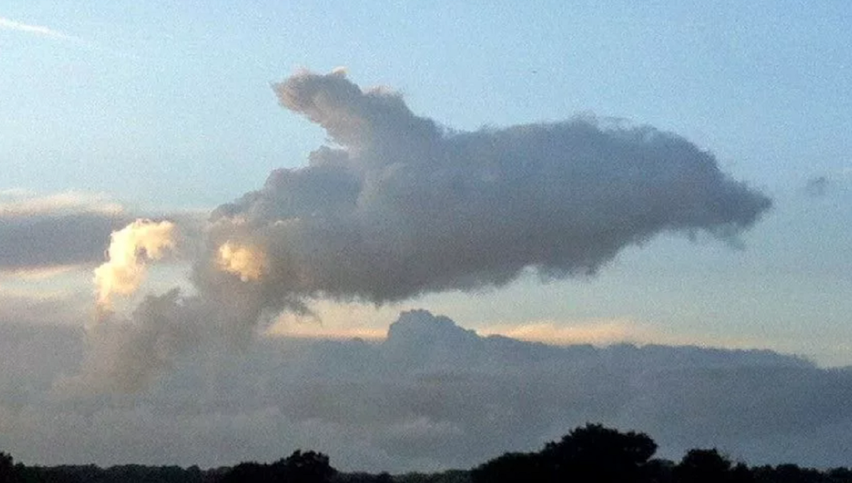 Фото: tr.pinterest.com