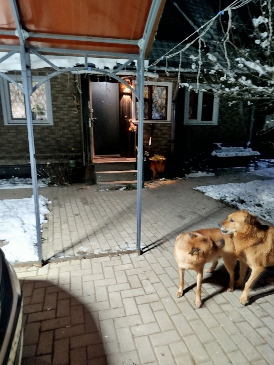 Лабазан и Сонечка!