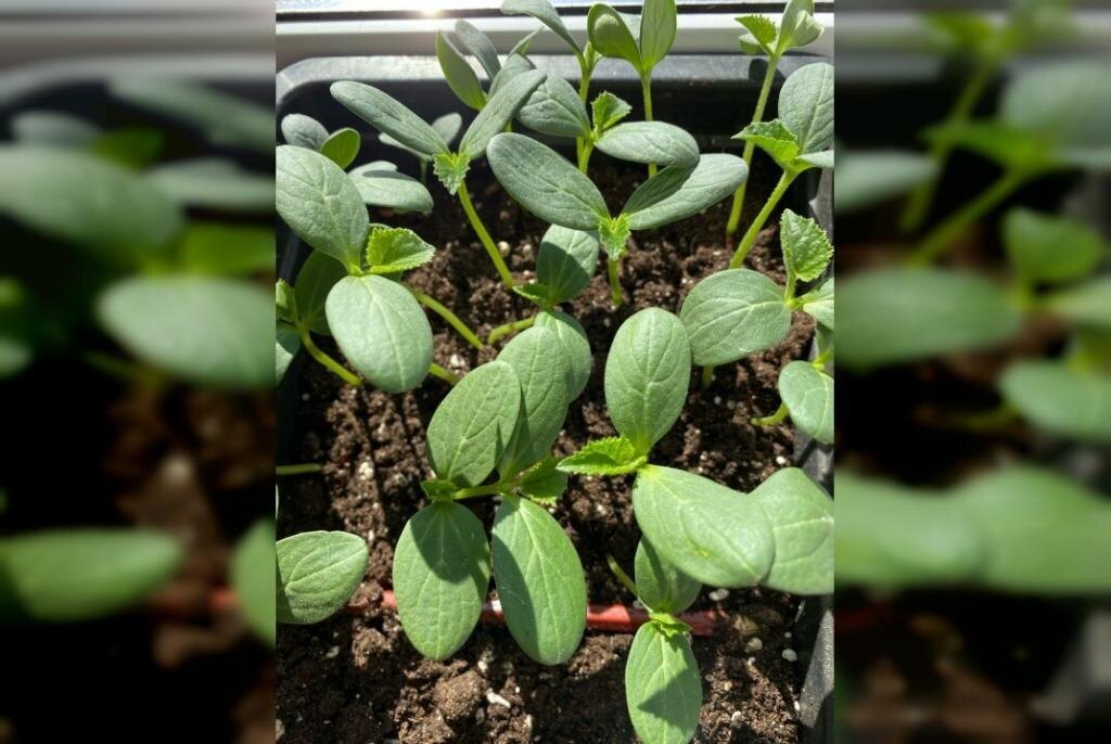    Фото: Яна Гамаюнова/ГР