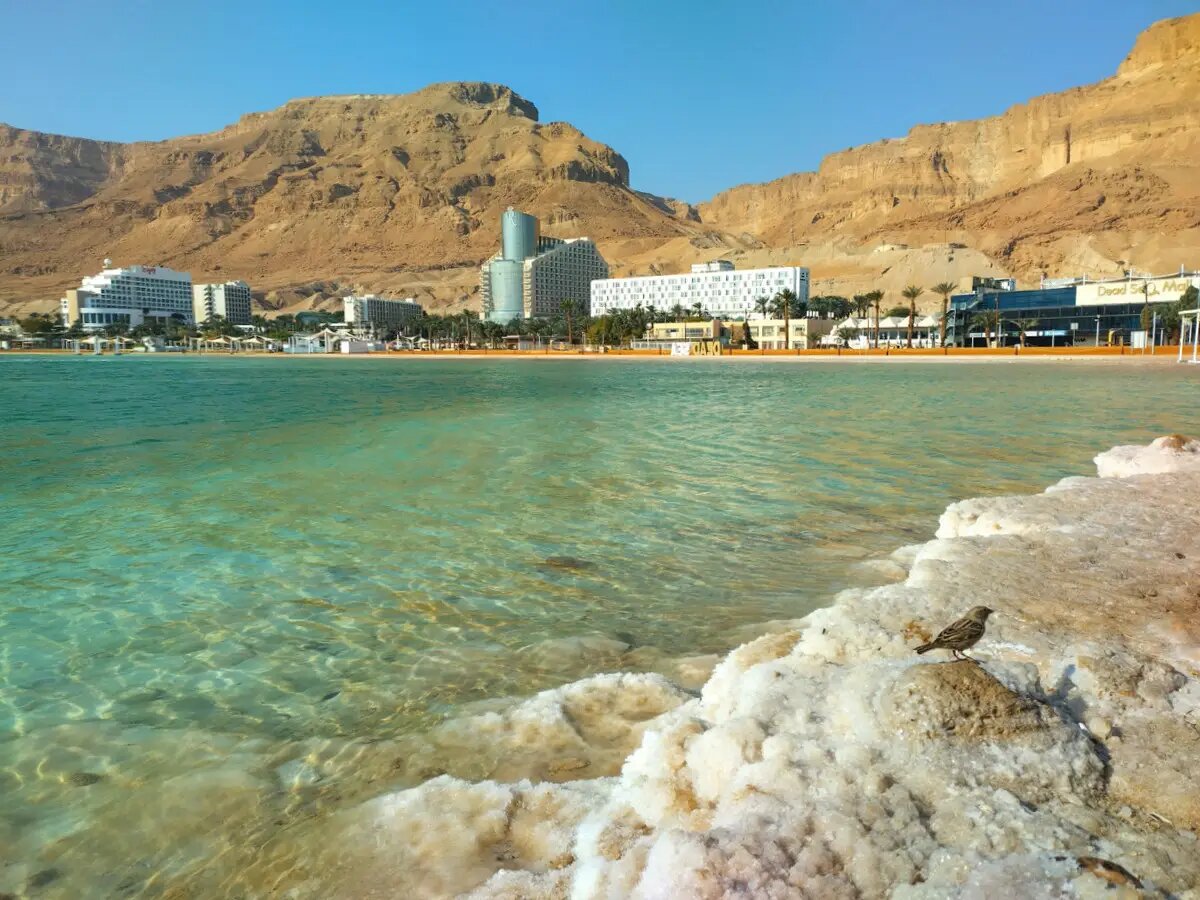     © "Интерфакс". Сюзанна Лотфи