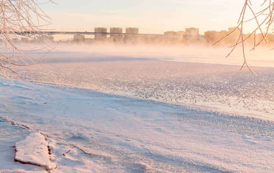    Shutterstock/FOTODOM