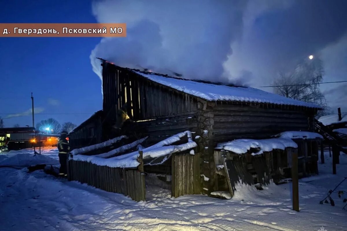    Пять свиней спасли на пожаре в хозпостройке в псковской деревне