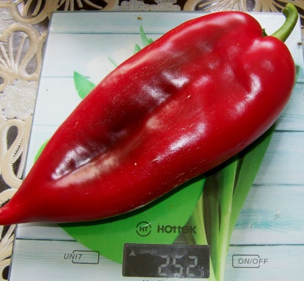 Паланичко чудо