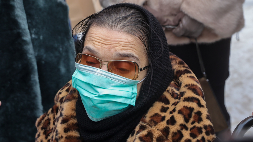    Фото: www.globallookpress.com/Shatokhina Natalia; 5-tv.ru