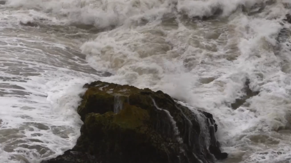 ФОТО: Кадр из программы "Загадки человечества", РЕН ТВ