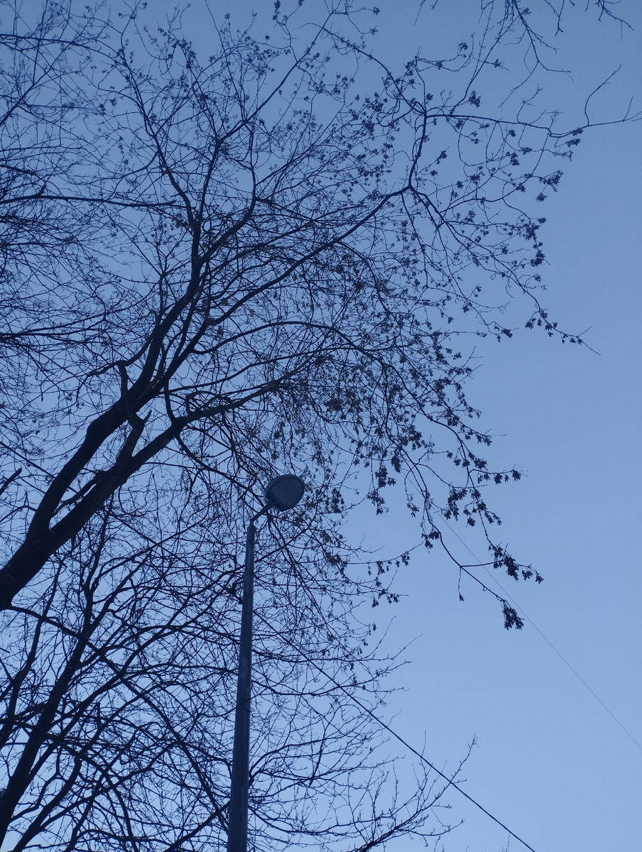 Синь зимних небес