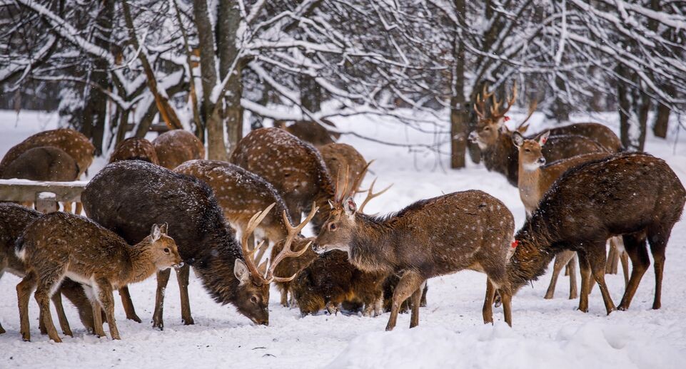    Медиасток.рф