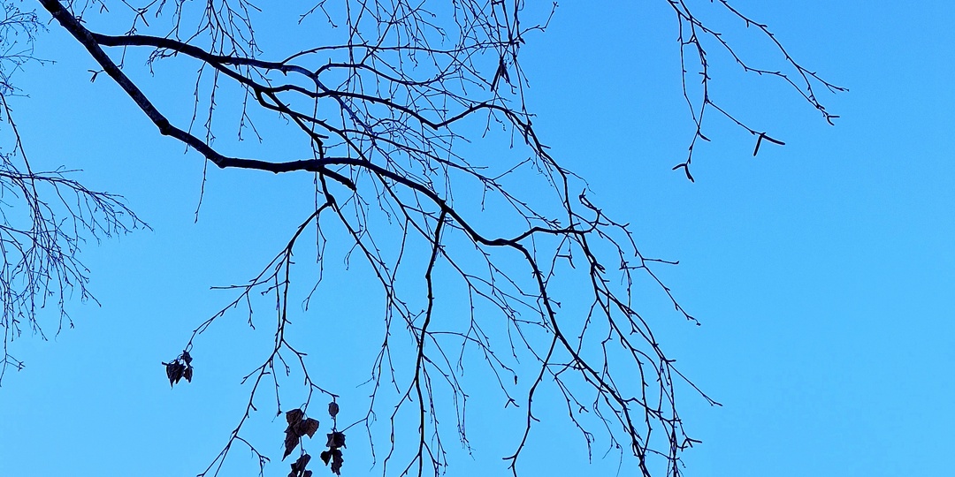 Модный шум и сон.