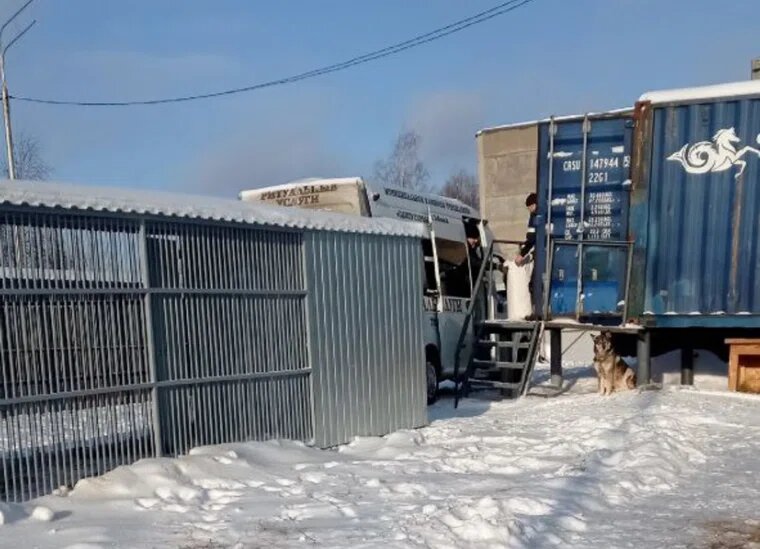 Неизвестные люди, приехавшие на автомобиле с символикой ритуальных услуг. Фото: URA.RU