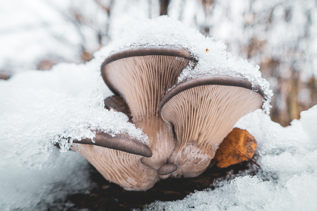 Фото: Shutterstock