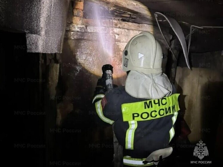     Фото: ГУ МЧС по Орловской области