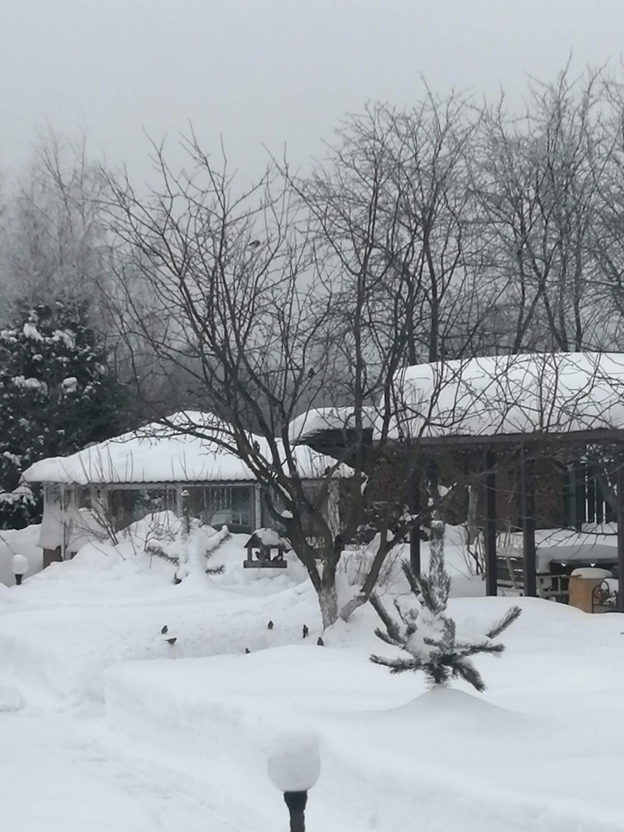 Фото автора.