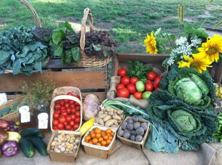 Фото: из открытых источников.