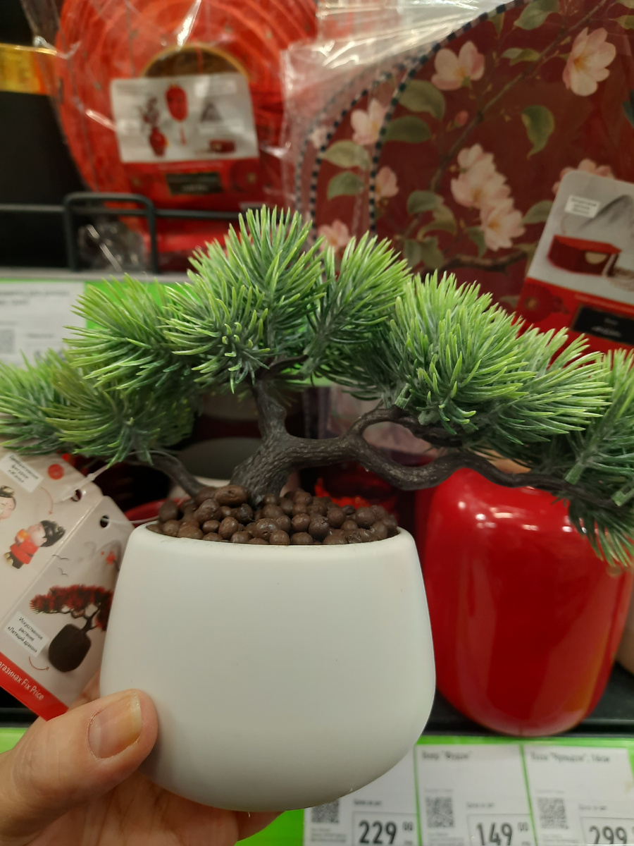 зеленая ветка