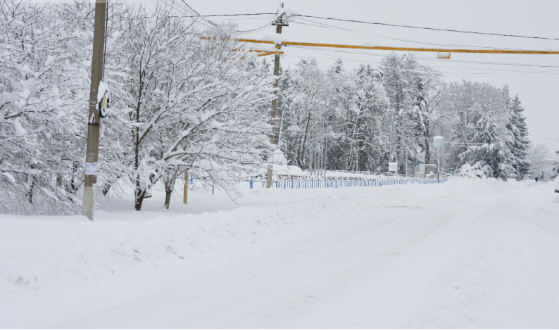 Фото автора. Январь 2026. Станица. Снежный заряд.