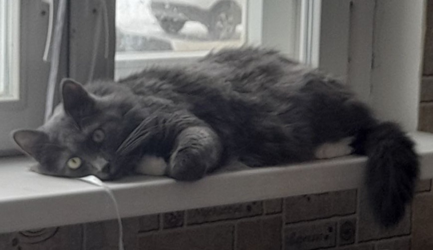 Фото автора канала.