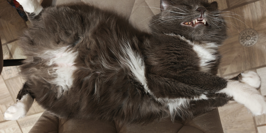 Не нужно сравнивать, вы не на моём месте, и слава Богу🙏.