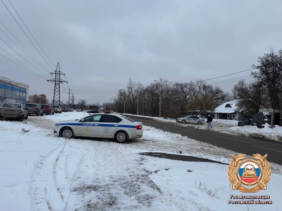    За рулем авто находился 22-летний мужчина. Фото: Госавтоинспекция РО.