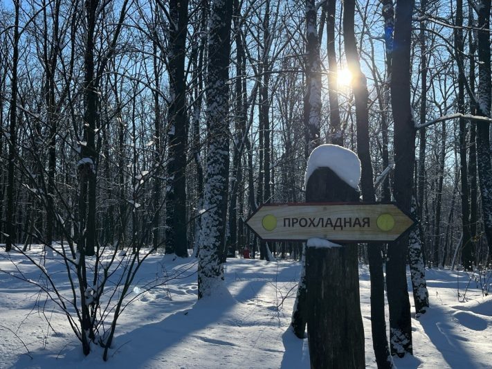 Фото: Ольга Шитикова / «Курская правда»