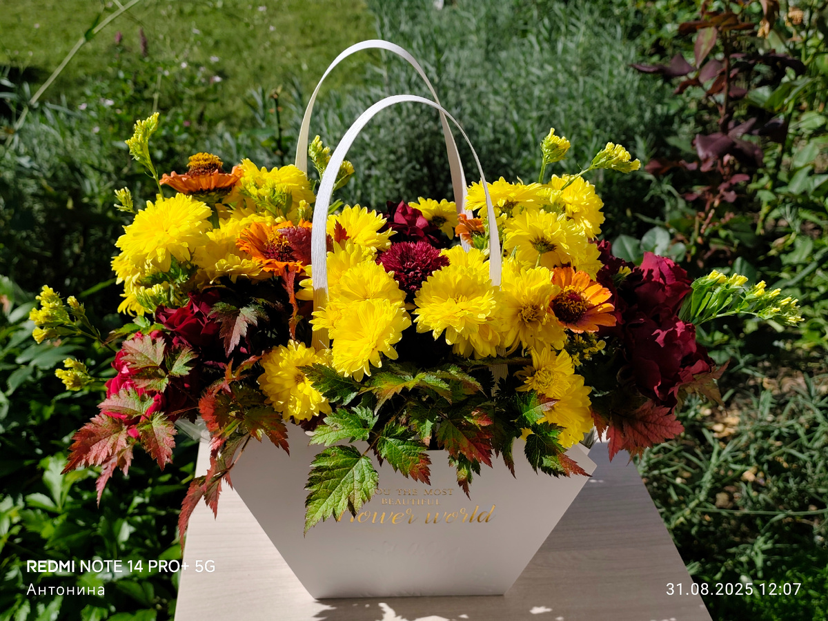 Статица может стать прекрасным дополнением букета из живых цветов. Букет к 1 сентября