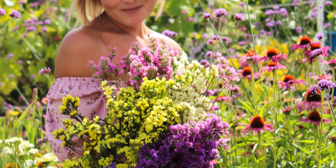 Однолетняя СТАТИЦА. От посева и до сбора соцветий на букеты