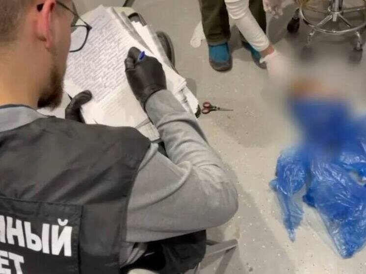     Эти материалы затем передавали коммерческим фирмам, которые использовали их как образцы для исследований в косметологии, хирургии и стоматологии. Фото: скриншот видео СК России