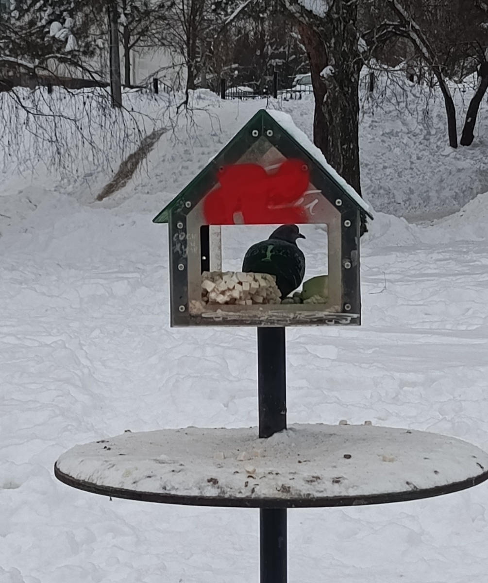 Фото автора статьи