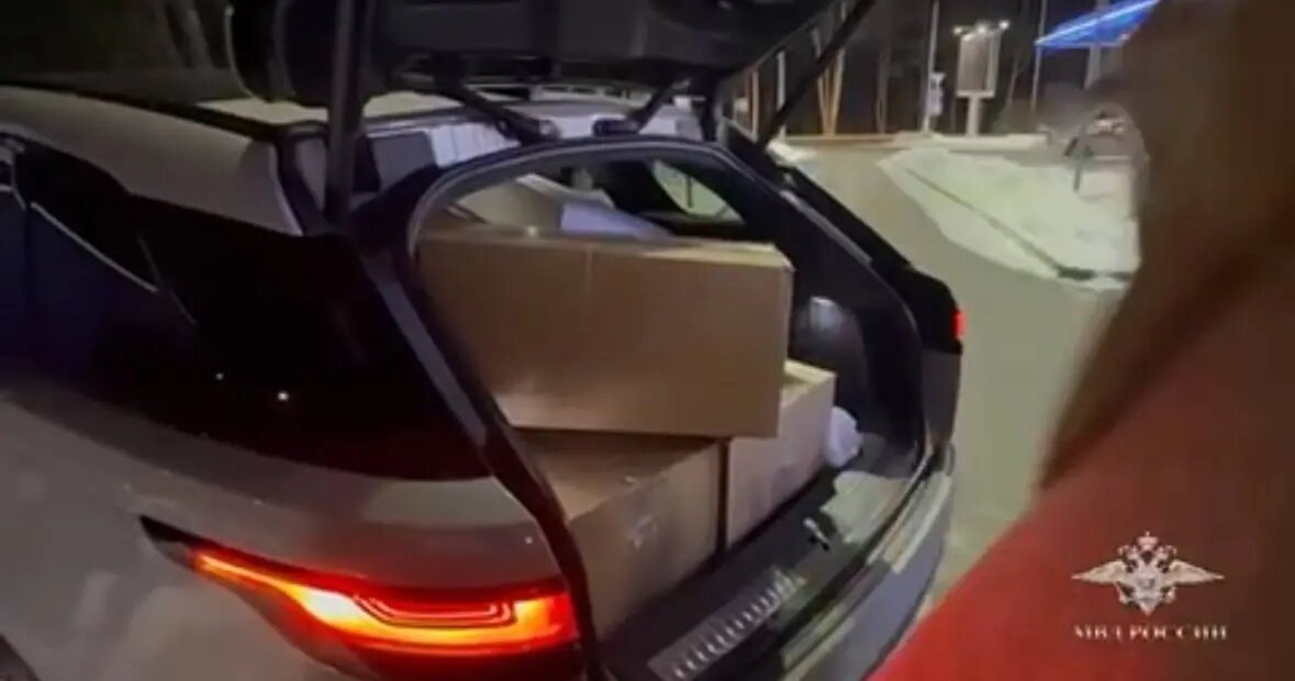    Фото: скриншот видео пресс-службы СК РФ по Петербургу