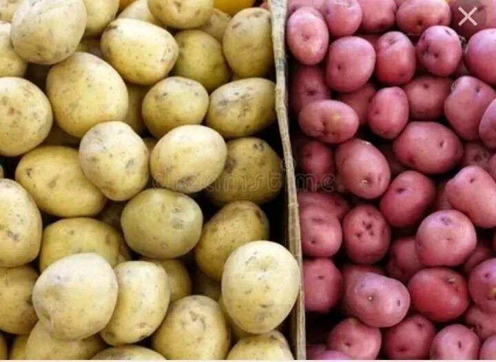 Источник Яндекс картинки