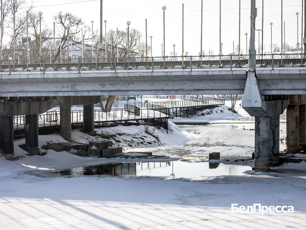     Фото: Павел Колядин