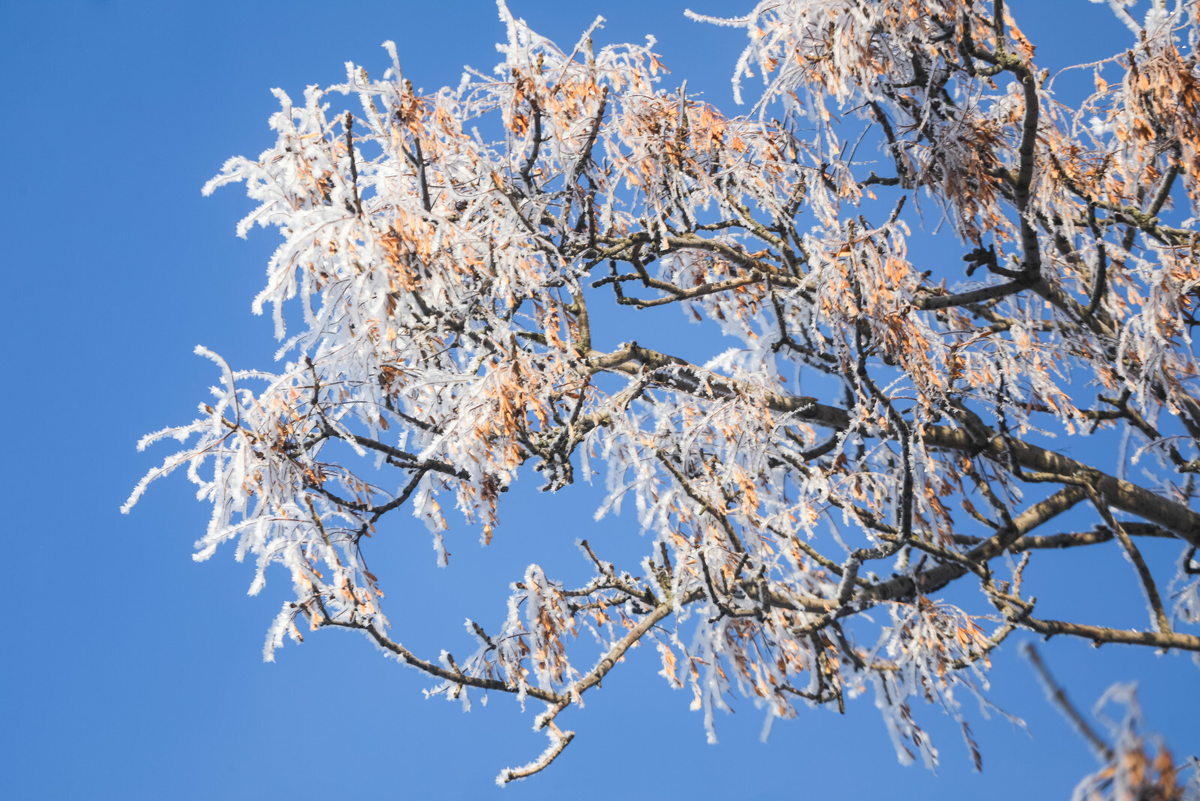 Фото: Роман Пименов 