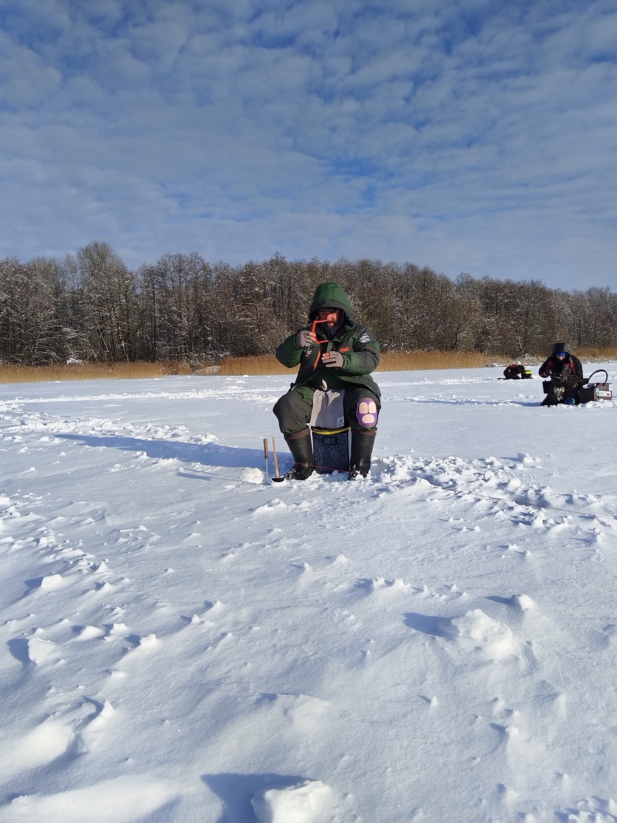 Фото: Сергей Киселев
