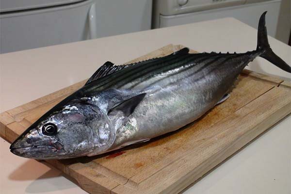 взято с открытого доступа