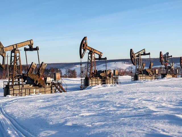    Фото: ТАСС/Егор Алеев